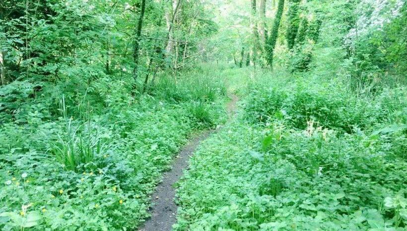 住宿加早餐 Lacken Millhouse And Gardens