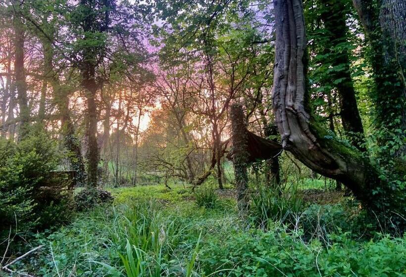 住宿加早餐 Lacken Millhouse And Gardens
