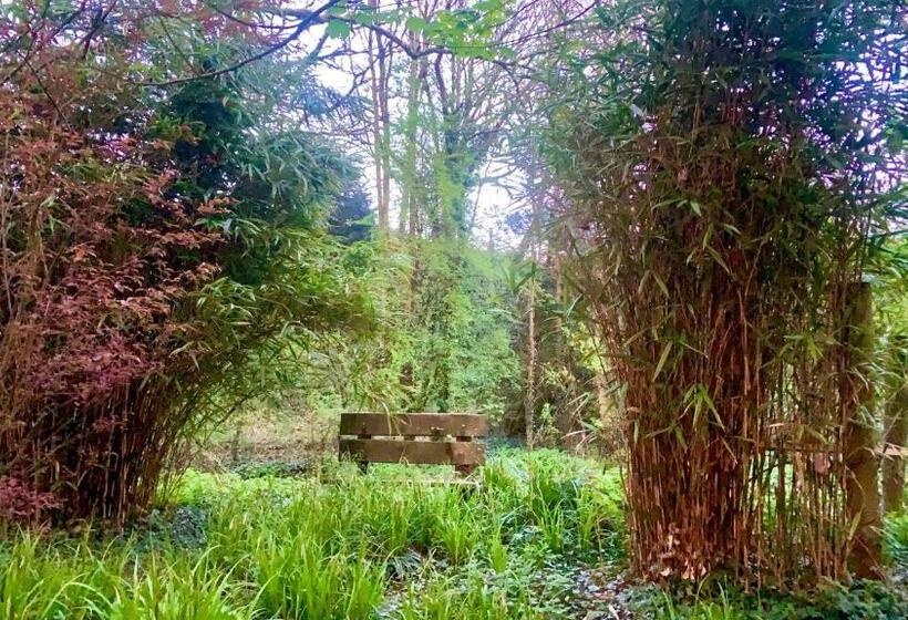 住宿加早餐 Lacken Millhouse And Gardens