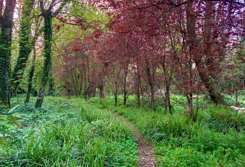 住宿加早餐 Lacken Millhouse And Gardens