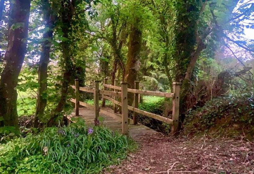 住宿加早餐 Lacken Millhouse And Gardens