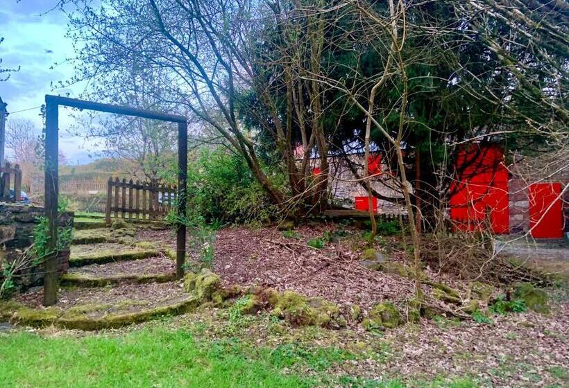 住宿加早餐 Lacken Millhouse And Gardens