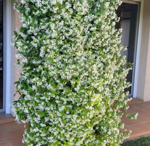 צימר Le Patio, Chambres D Hôtes Pour Adultes En Camargue, Possibilité De Naturisme à La Piscine