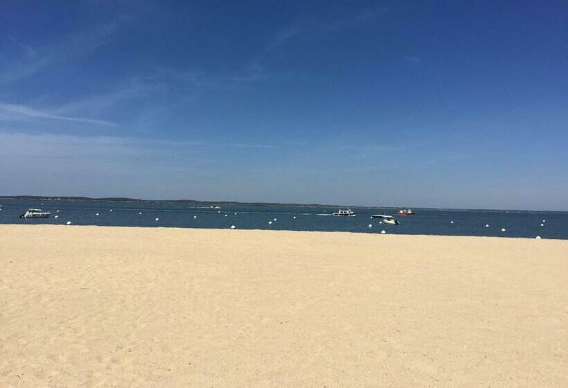 Bed and Breakfast Le Teich Tranquille