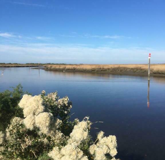 مبيت وإفطار Le Teich Tranquille