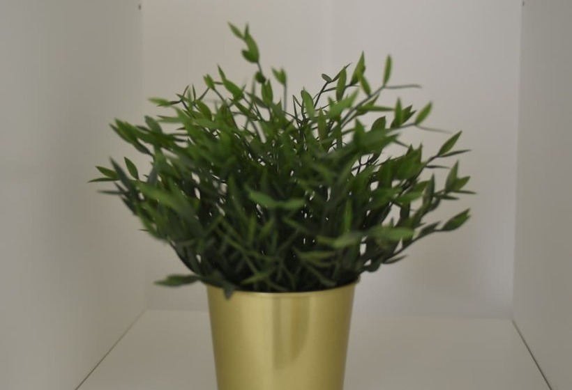 민박 élite Suite Home