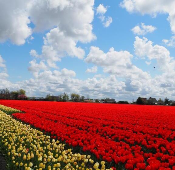 Bed and Breakfast Polderlodge