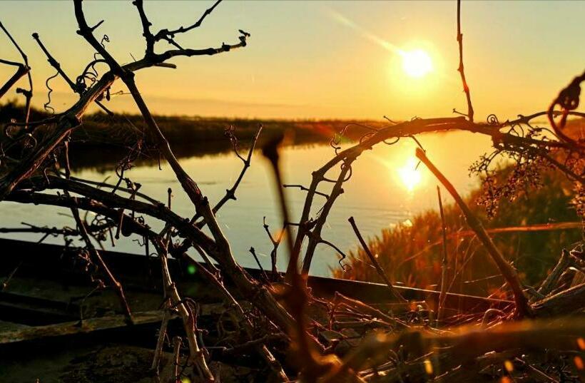 مبيت وإفطار Residenza La Gallinella