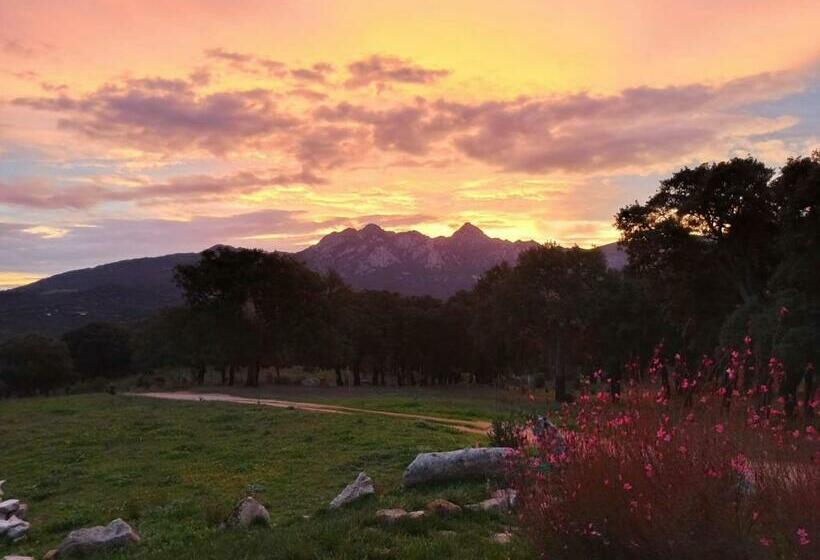 مبيت وإفطار Sherdana S