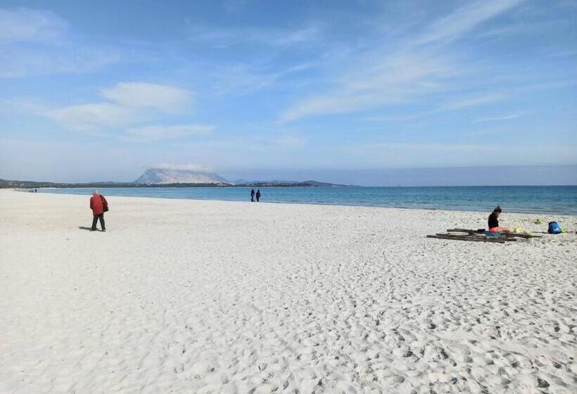 مبيت وإفطار Sherdana S