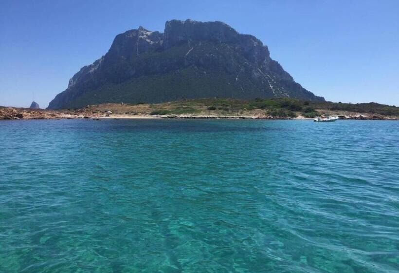 مبيت وإفطار Sherdana S