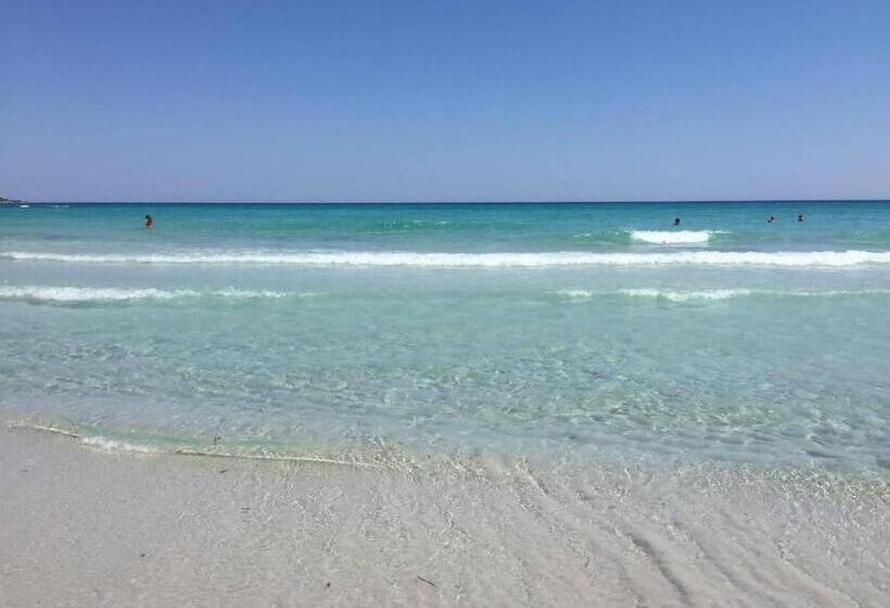 مبيت وإفطار Sherdana S