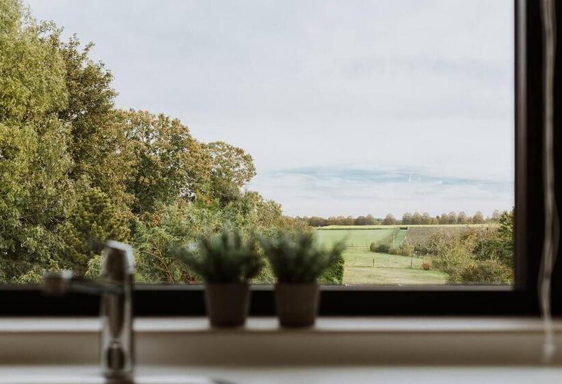 تختخواب و صبحانه Vida Verde