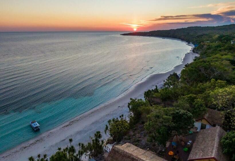 Blue Planet Dive Resort