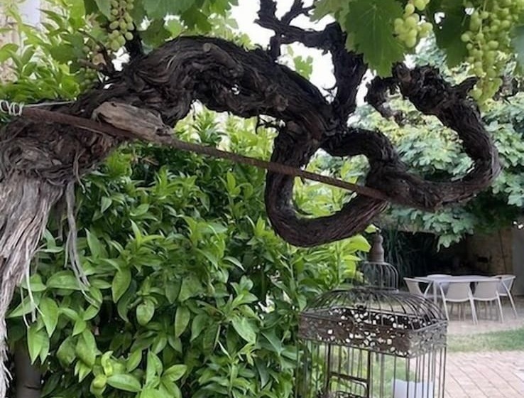 Chambres D Hôtes La Soulenque Luxury B & B