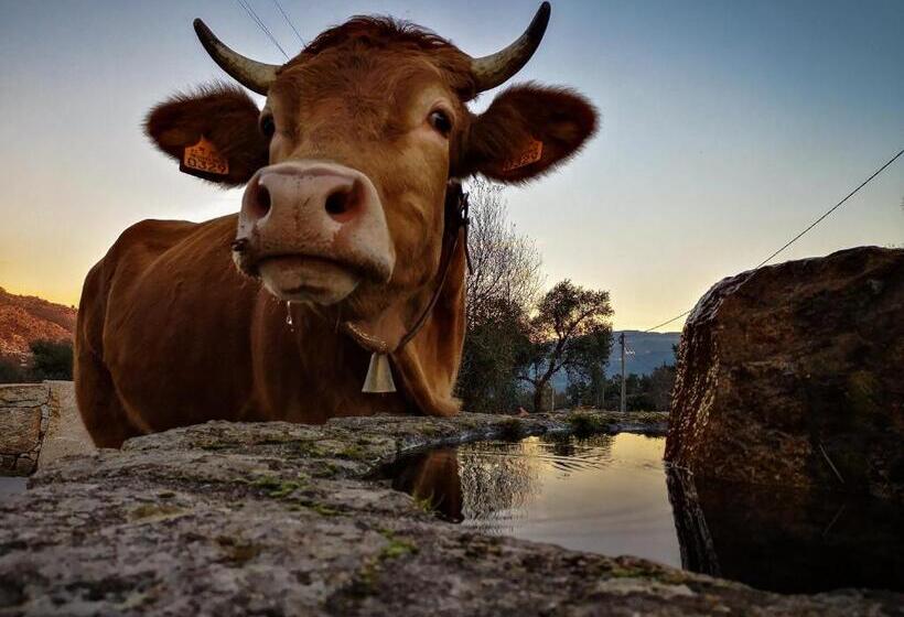 Hostel Retiro Do Gerês