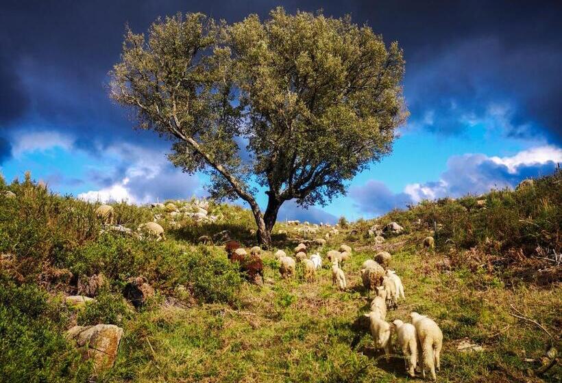 Hostel Retiro Do Gerês