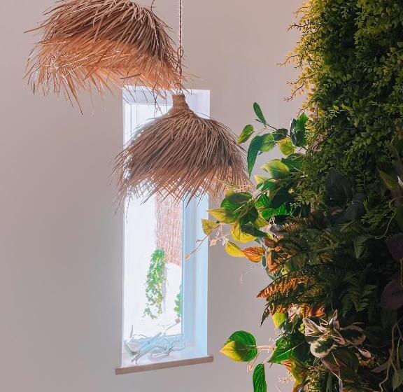 هتل Captain Cook Ahoy