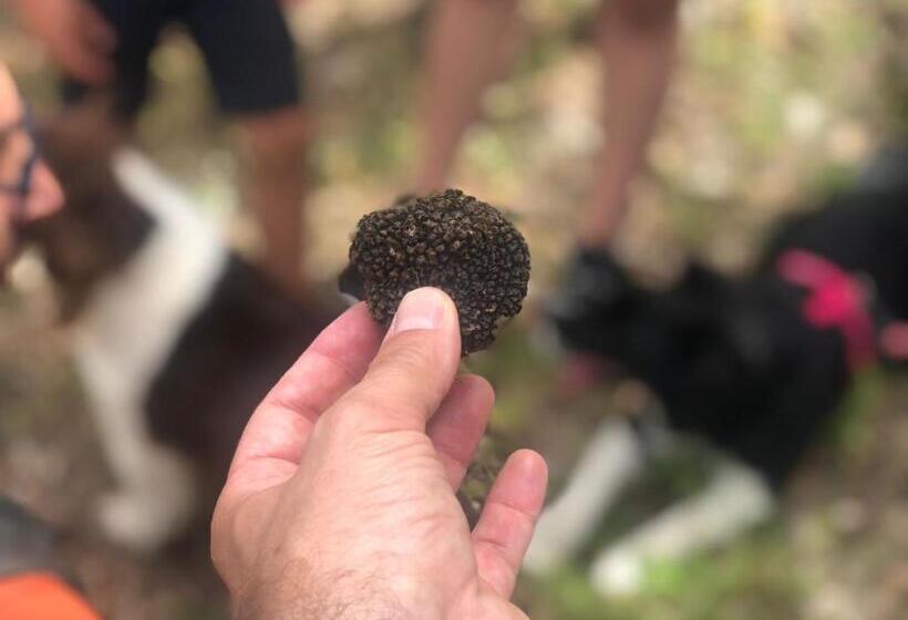 בית מלון כפרי Dimore Montane