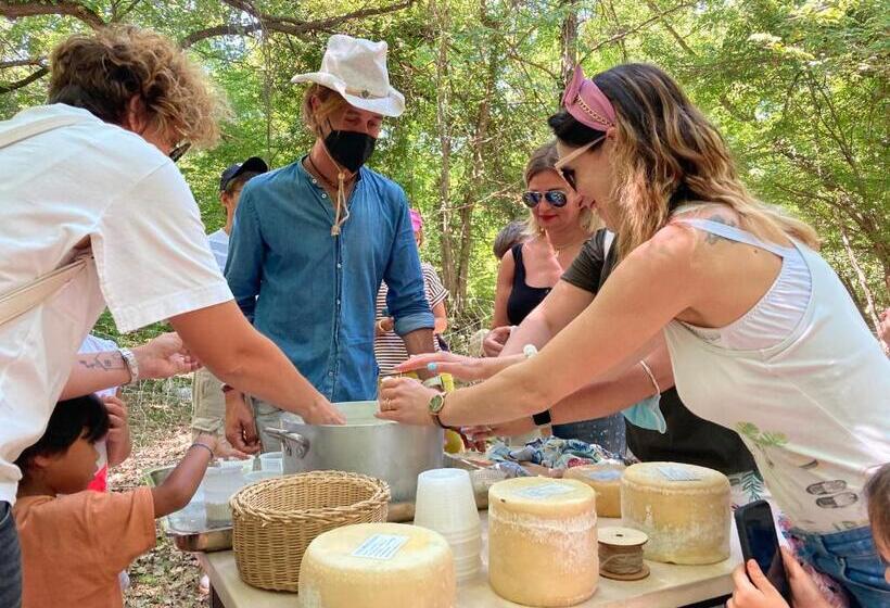 בית מלון כפרי Dimore Montane