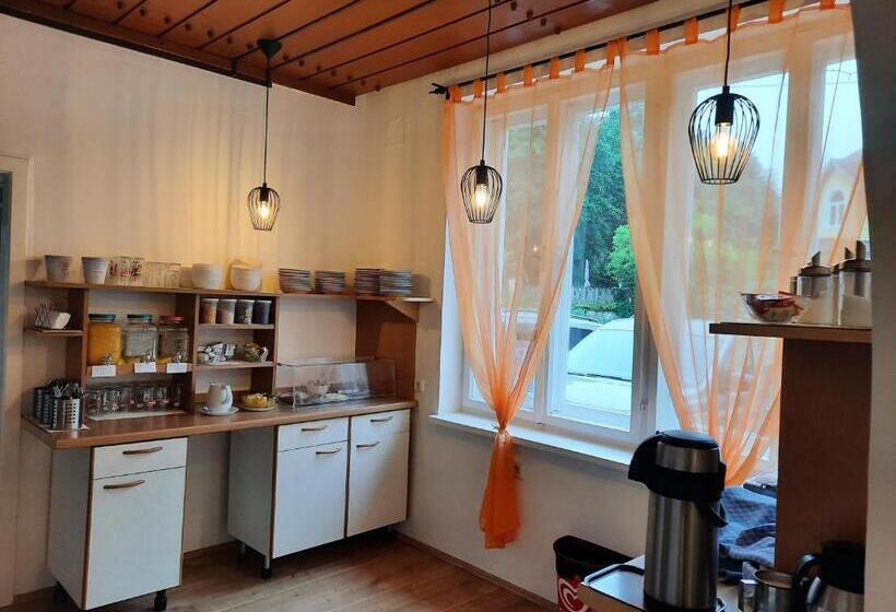 هتل Pension Horvath