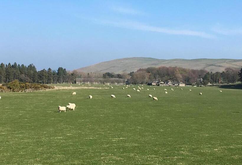 Ingram House Bed & Breakfast