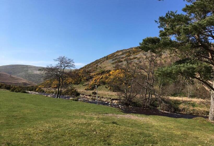 Ingram House Bed & Breakfast