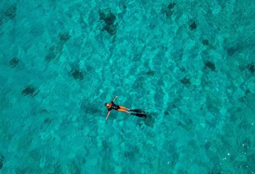 Northville Beach Resort Powered By Cocotel