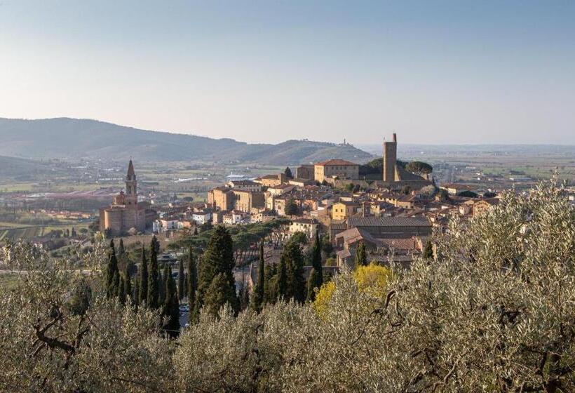 Пансион Camera Suite Romantica Con Giardino In Dimora Storica   B&b Palazzo Robicci