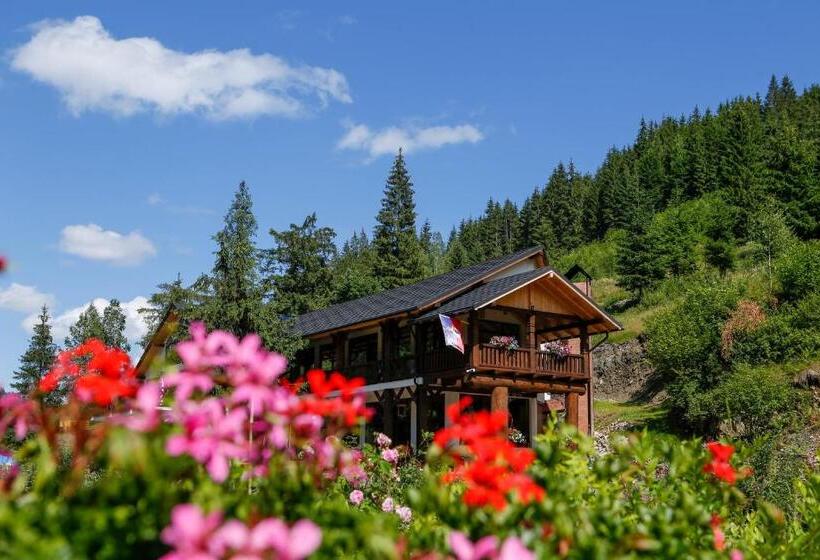 膳宿费 Casa Baciu Colacu