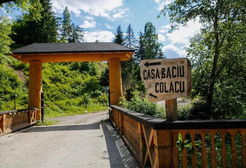 膳宿费 Casa Baciu Colacu