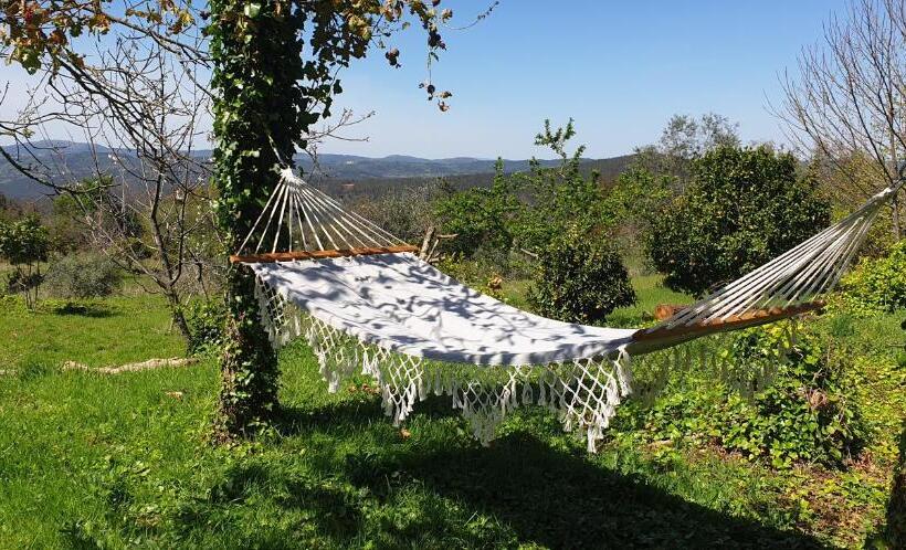 פנסיון Casa Belavista Penela   Charming Guest House   Adults Only