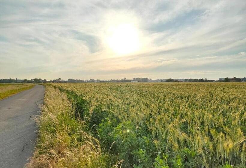 ペンション Gastenverblijf Hof Moye Tyt