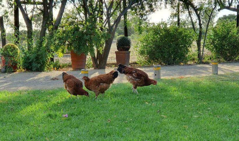 膳宿费 Oudeklip Guesthouse Nieuwoudtville