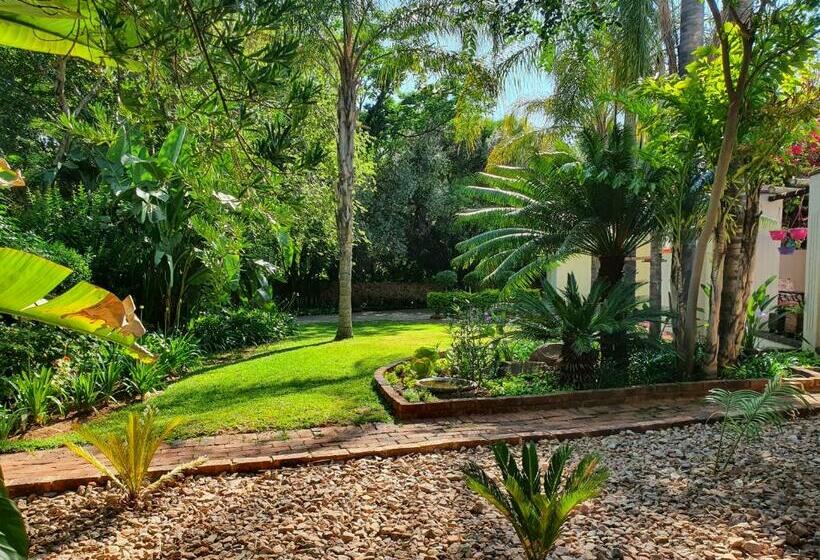 بنسيون The Garden Inn Guesthouse