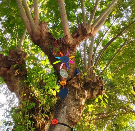 Albergue Multiaventura Active Andalucia