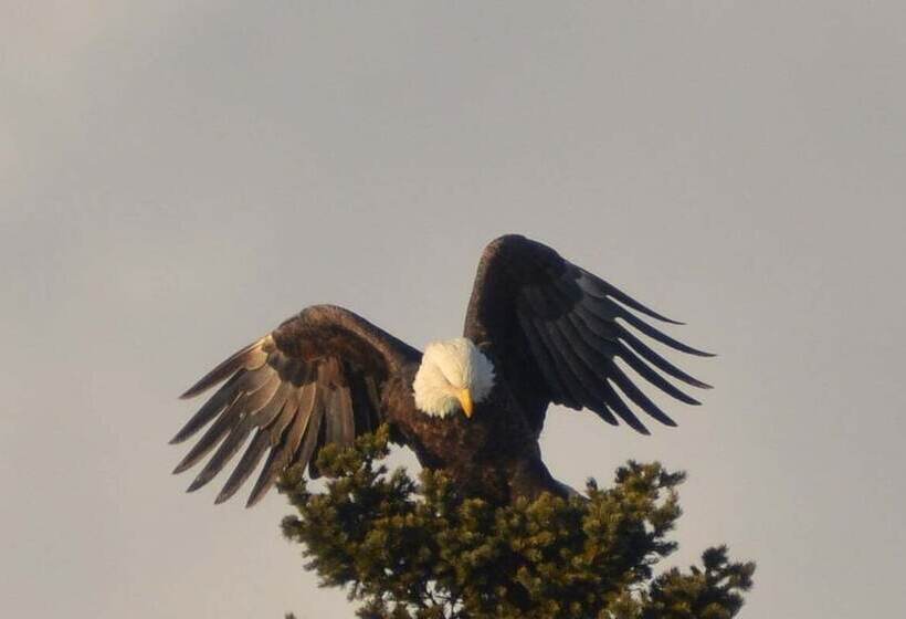 فندق صغير Beach Street Inn