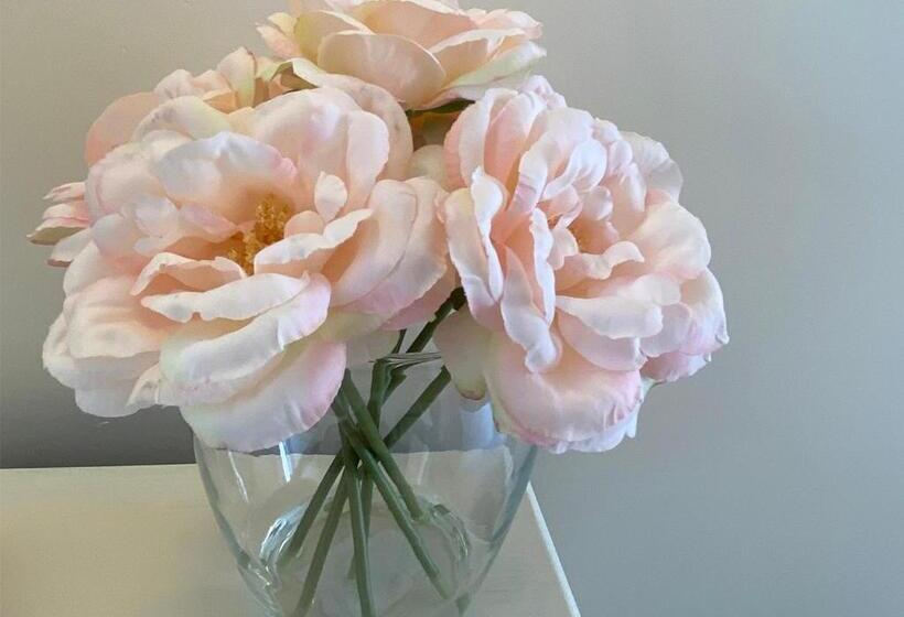 فندق صغير Beach Street Inn