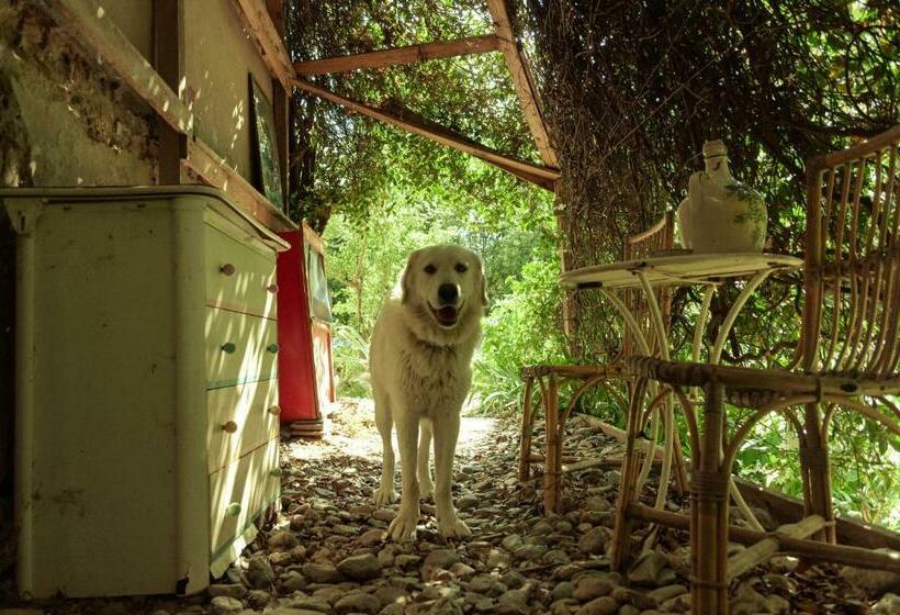 فندق صغير Centro Studi Nuovarmonia