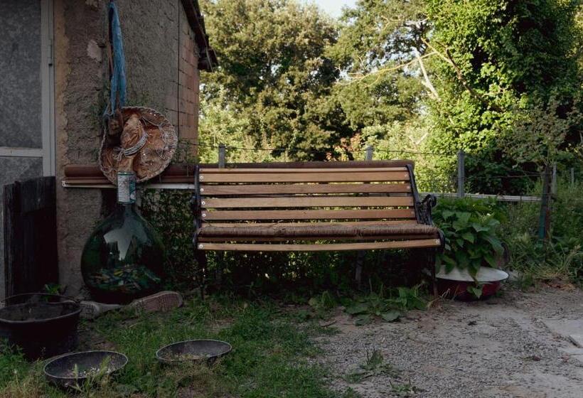 فندق صغير Centro Studi Nuovarmonia