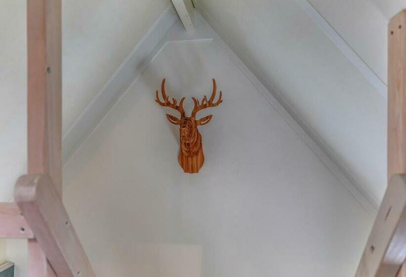 B&b Larenstein Logeren In Een Tiny House