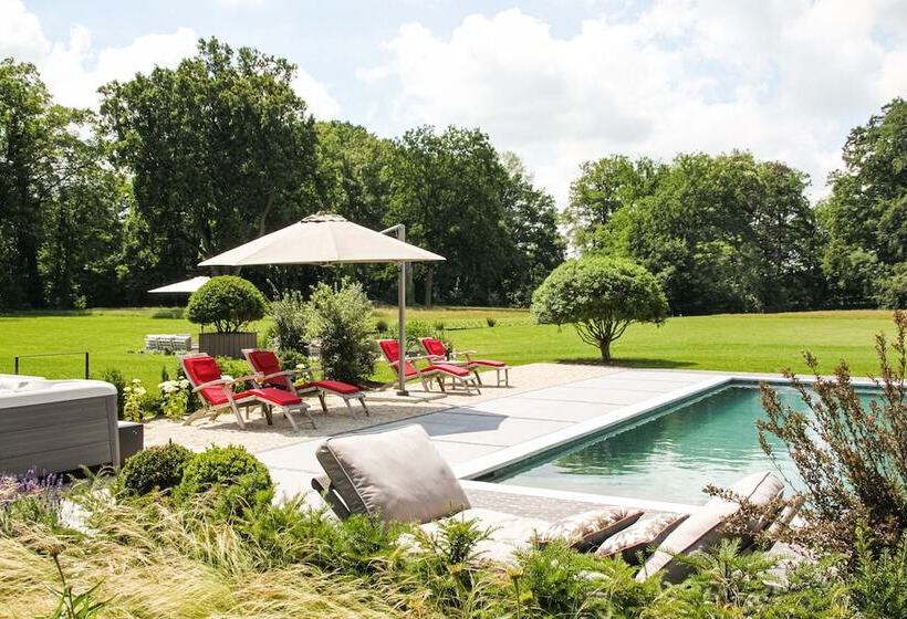 B&b Maison Mairie Hasselt