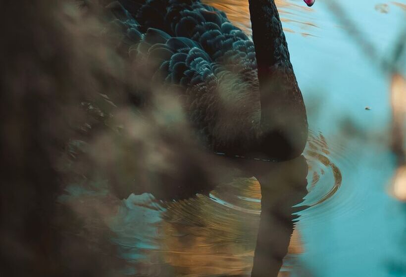 B&b Maison Mairie Hasselt