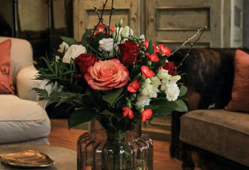 B&b Maison Mairie Hasselt