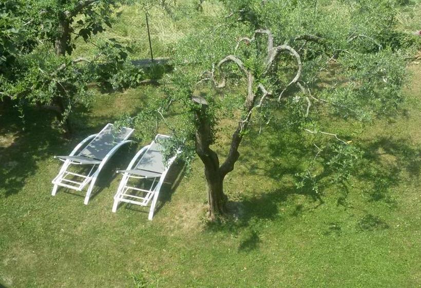 ベッドアンドブレックファースト Beb Da Paolo Con Vista Lago