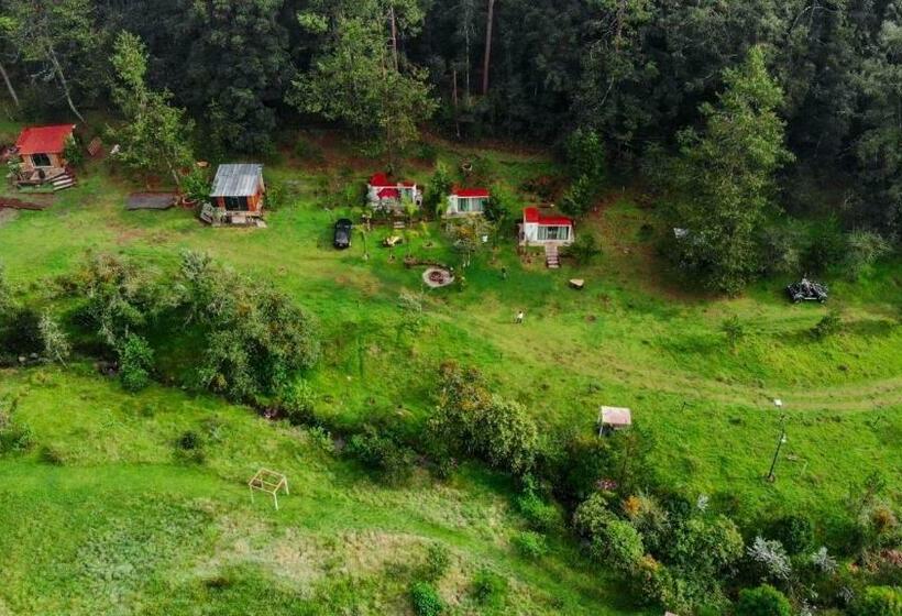 צימר Cabaña Romántica En El Bosque!