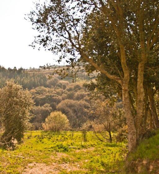 住宿加早餐  Cabanas Da Colina