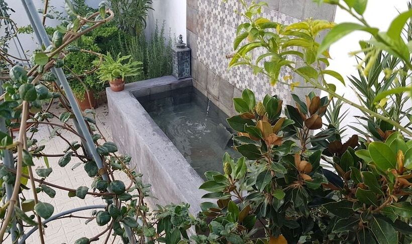 مبيت وإفطار Casa Rural Los Danzantes