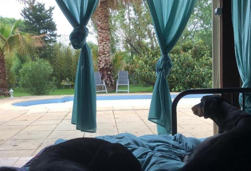 Bed and Breakfast Chéz Robert & Coby