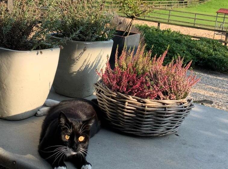 Bed And Breakfast De Paalberg